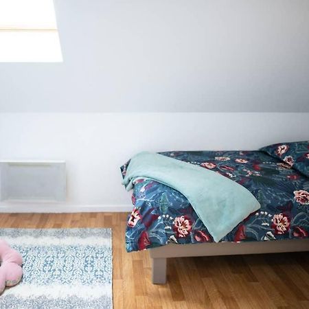 Duplex Tout Equipe, Proche Centre-Ville Colmar, Parking Εξωτερικό φωτογραφία