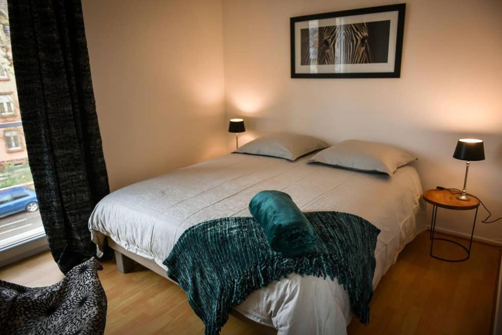 Duplex Tout Equipe, Proche Centre-Ville Colmar, Parking Εξωτερικό φωτογραφία