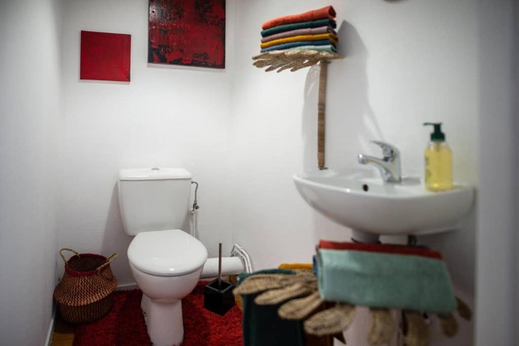 Duplex Tout Equipe, Proche Centre-Ville Colmar, Parking Εξωτερικό φωτογραφία